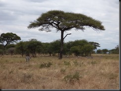 P1000234