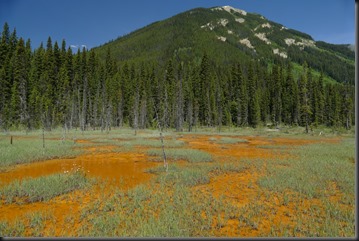 P1120526